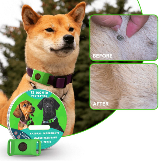 ⏰Last Day 60% OFF-🐕12 Months Flea and Tick Free